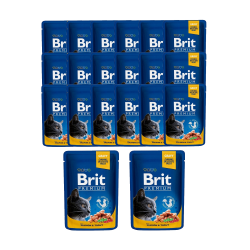 BRIT PREMIUM CAT Łosoś i Pstrąg w sosie 20x100g 20 saszetek